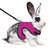 Mesh Breathable Rabbit Harness and Leash Set for Small Pets