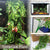 Flexible Plastic Leaves – Bendable Jungle Vine for Reptile Terrarium Decor
