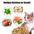 Salmon & Tuna Cat Biscuits