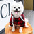 Winter Dog Hoodie - Warm Plaid Jacket with Pocket for Small to Large Dogs