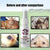 Flea & Tick Control Spray – Antiparasitic for Cats & Dogs, Stops Itching and Fighting