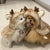 Christmas Pet Apparel - Elk Cloak & Hat for Dogs & Cats
