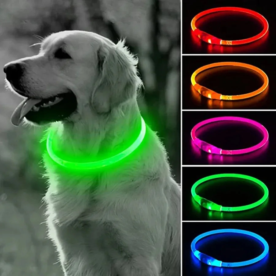 LED Dog Collar with 3 Modes