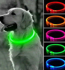 LED Dog Collar with 3 Modes