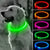 LED Dog Collar with 3 Modes