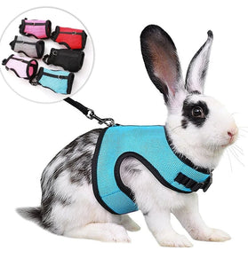 Multi-Color Breathable Pet Harness & Leash Set for Rabbits