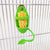 Bird Cuttlebone Holder – Cage Feeding Stand for Parrots, Budgies, & Cockatiels