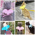 Small Animal Rabbit Harness with Leash Set for Bunny, Guinea Pig, and Ferret