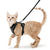 Adjustable Escape-Proof Cat Harness and Leash Set