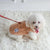 Soft Fleece Dog Sweater - Winter Pullover for Small Dogs, Chihuahua & Bulldog