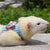 Stripe Pet Chest Strap Harness and Leash Set for Small Pets