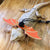 3-Piece Adjustable Bearded Dragon Leash with Bat Wings - Lizard Harness