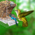 No-Mess Automatic Bird Feeder – Acrylic Seed & Drinker Container for Small to Medium Parakeets