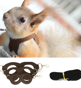 Small Pet Chest Strap & Leash for Hamsters, Squirrels, & Sugar Gliders