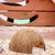 Coconut Hideout House for Reptiles & Hermit Crabs