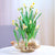 Transparent Plastic Fish Tank - Multi-Function Betta & Goldfish Aquarium for Home & Office Decor