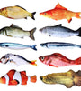 Plush Catnip Fish Toy - Non-Electric Interactive Tease Toy for Cats