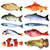 Plush Catnip Fish Toy - Non-Electric Interactive Tease Toy for Cats