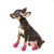 4pcs Waterproof Pet Dog Shoes, Anti-Slip Rain Boots for Small Dogs & Cats