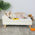 Nordic Pet Bed with Wood Legs & Cozy Pad