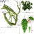Flexible Plastic Leaves – Bendable Jungle Vine for Reptile Terrarium Decor