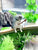 Fishing Cat Aquarium Decoration - Small Fish Tank Landscaping Ornament