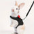 Adjustable Bunny Harness and Leash Set - Soft and Comfortable for Small Pets