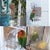 No-Mess Automatic Bird Feeder – Acrylic Seed & Drinker Container for Small to Medium Parakeets