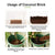 Natural Coconut Fiber Substrate - Reptile Bedding for Tortoises, Lizards & Terrariums