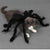 Spider Halloween Costume – Pet Cosplay for Small & Medium Dogs and Cats