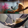 Reptile Hammock & Ladder Set – Accessories for Bearded Dragons, Geckos, Lizards, and Snakes
