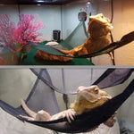 Reptile Hammock & Ladder Set – Accessories for Bearded Dragons, Geckos, Lizards, and Snakes
