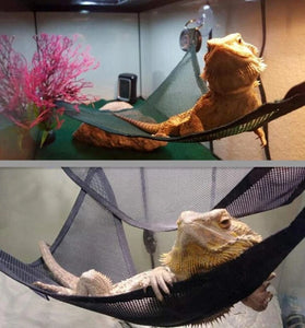 Reptile Hammock & Ladder Set – Accessories for Bearded Dragons, Geckos, Lizards, and Snakes