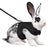 Mesh Breathable Rabbit Harness and Leash Set for Small Pets