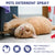 Natural Cat Scratch Deterrent Spray with Orange Fragrance