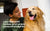 ABQP Rechargeable Ultrasonic Dog Repeller and Training Device