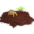 650g Tortoise Fiber Bedding - Natural Coconut Substrate for Reptiles & Terrariums