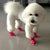 4pcs Anti-Skid Puppy Shoes, Soft-Soled Waterproof Pet Protection for Winter