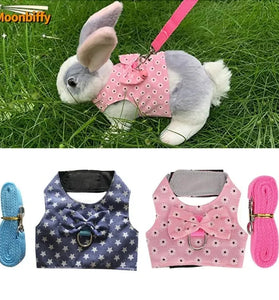 Small Animal Walking Harness and Leash Set for Rabbits, Puppies, and Small Pets