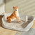 Portable Pet Litter Box – Training Toilet & Pad Holder for Small Dogs and Cats