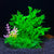 Artificial Aquarium Plants (14cm, Aquatic Grass Decoration)