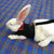 Small Animal Walking Harness and Leash Set for Rabbits, Puppies, and Small Pets