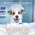 Electric Pet Bath Foaming Machine & Soap Dispenser