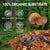 Natural Coconut Chip Bedding - Compressed Coco Husk Substrate for Reptiles & Terrariums