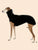 Greyhound Winter Coat & Pajamas - Turtleneck Onesie for Medium to Large Dogs