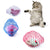 Interactive Cat Toy Balls - Stretchable Springs & Rolling Caged Rats