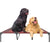 Elevated Waterproof Dog Bed, Off-Floor Design, Easy to Clean, Indoor/Outdoor Use, XL, Grey