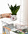 Transparent Acrylic Fish Tank - Ecological Breeding Box for Desktop Landscaping