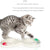 Household Cat Toy Turntable Set - Teasing Stick & Tunnel for Play