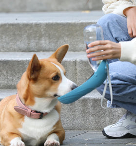Portable Water Cup & Feeder for Dogs - Travel Water Bottle